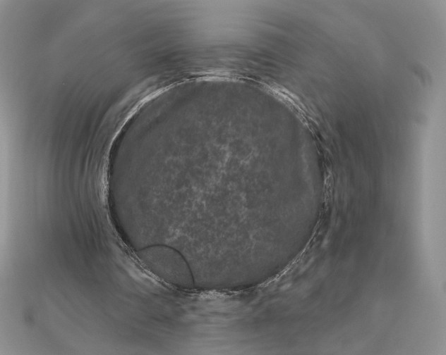 X0000112800290200909041438