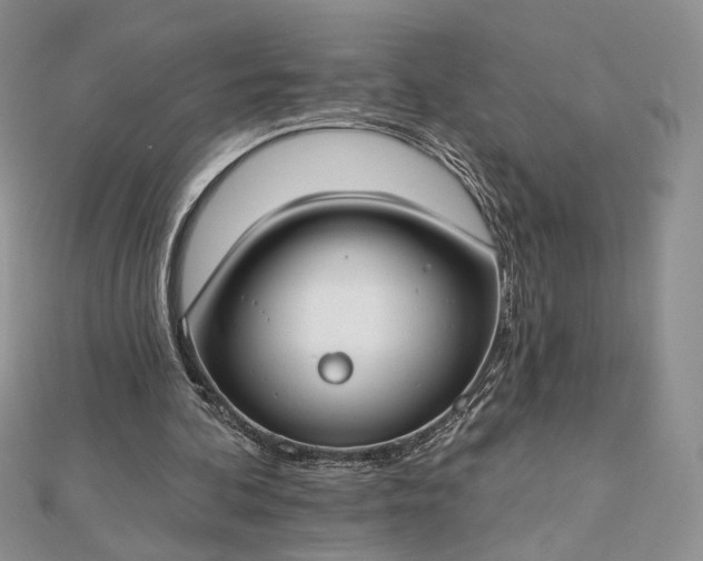 X0000112800292200909041438