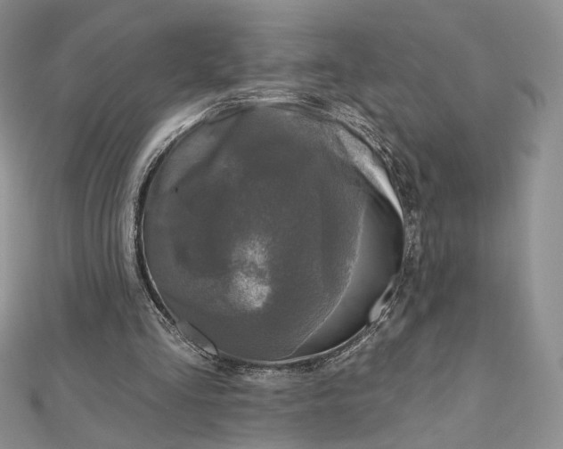 X0000112800293200909041438