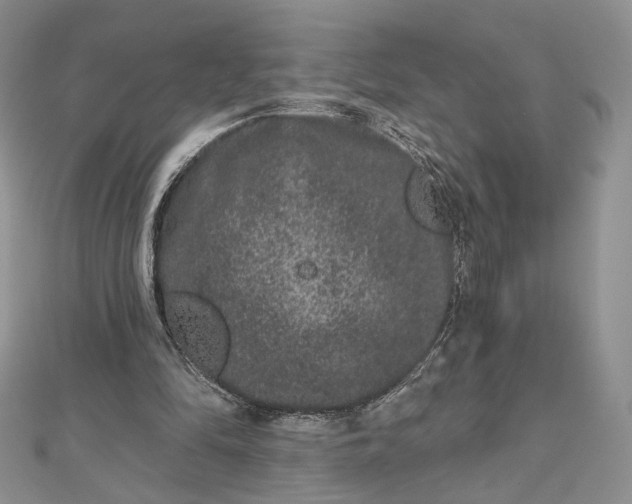 X0000112800294200909041438