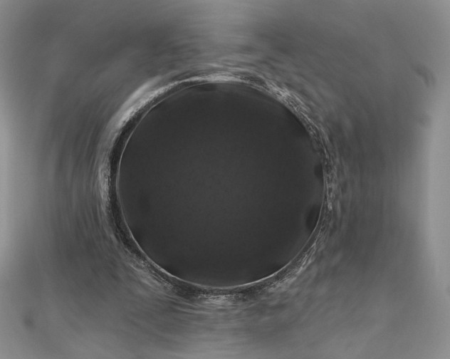 X0000112800295200909041438