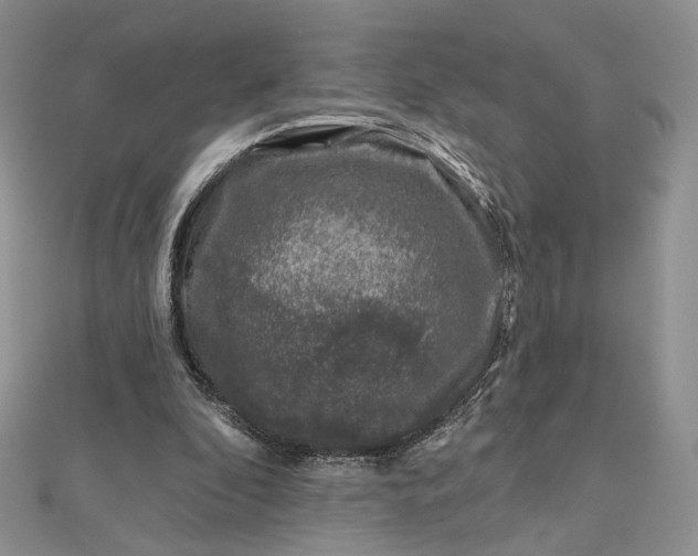 X0000112800296200909041438