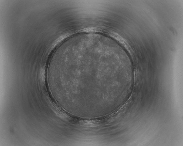 X0000112800297200909041438