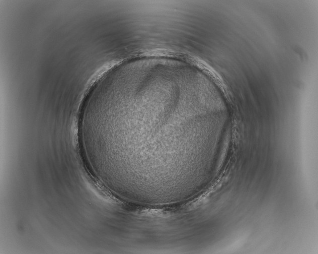 X0000112800298200909041438