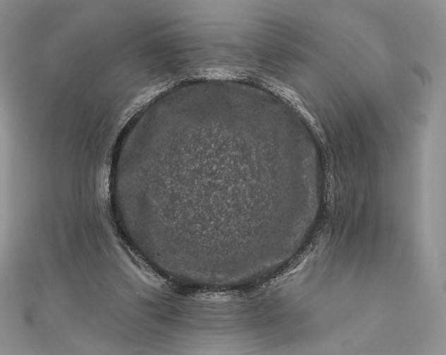 X0000112800299200909041438