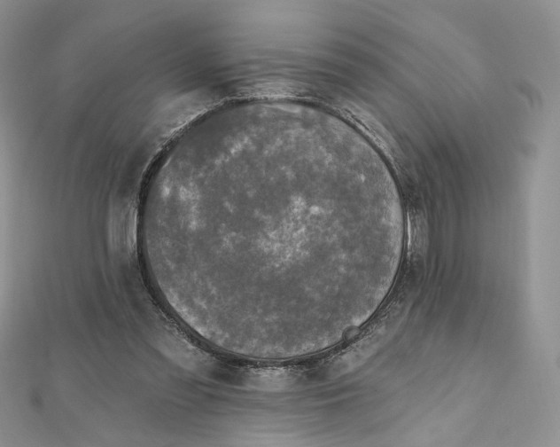 X0000112800301200909041438