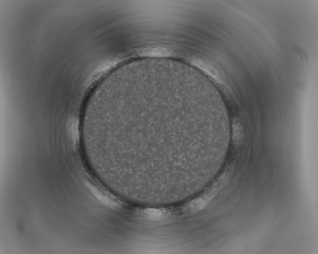 X0000112800302200909041438