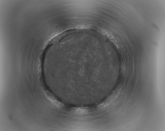 X0000112800303200909041438