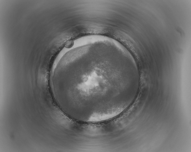 X0000112800305200909041438