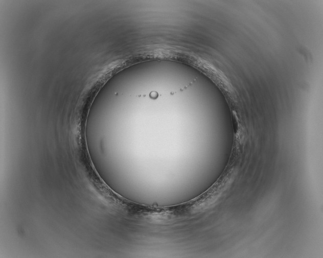 X0000112800306200909041438