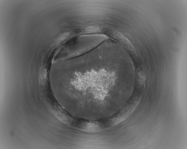 X0000112800308200909041438