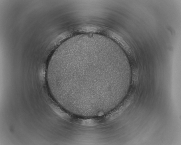 X0000112800309200909041438