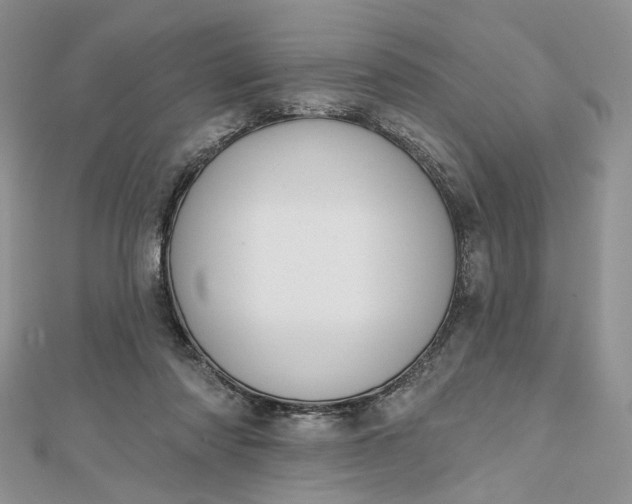 X0000112800310200909041438