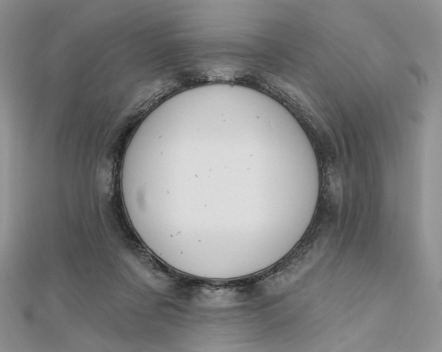 X0000112800311200909041438