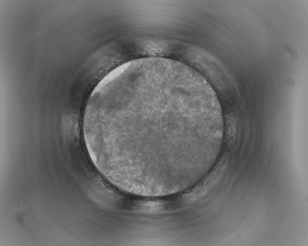 X0000112800313200909041438