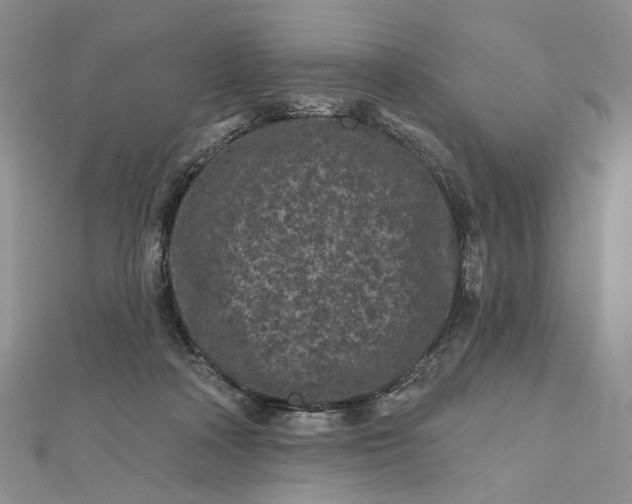 X0000112800314200909041438