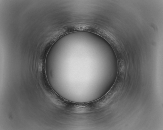 X0000112800315200909041438