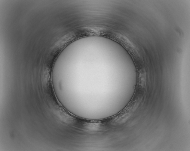 X0000112800318200909041438