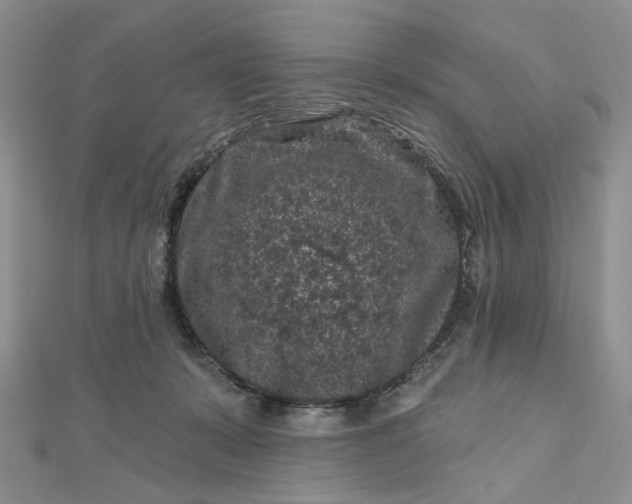 X0000112800319200909041438