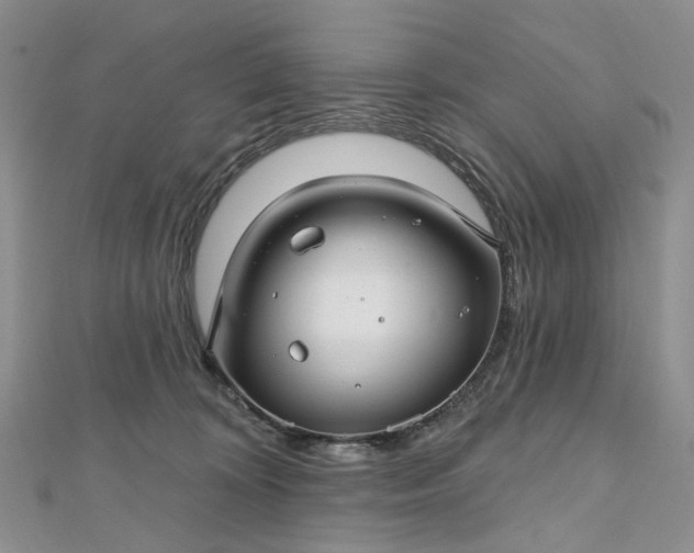 X0000112800324200909041438