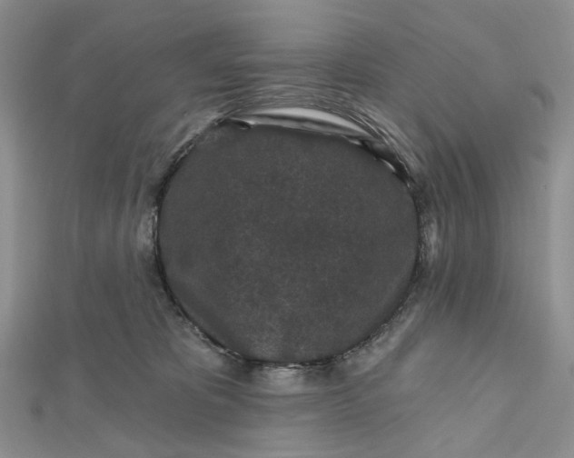 X0000112800325200909041438