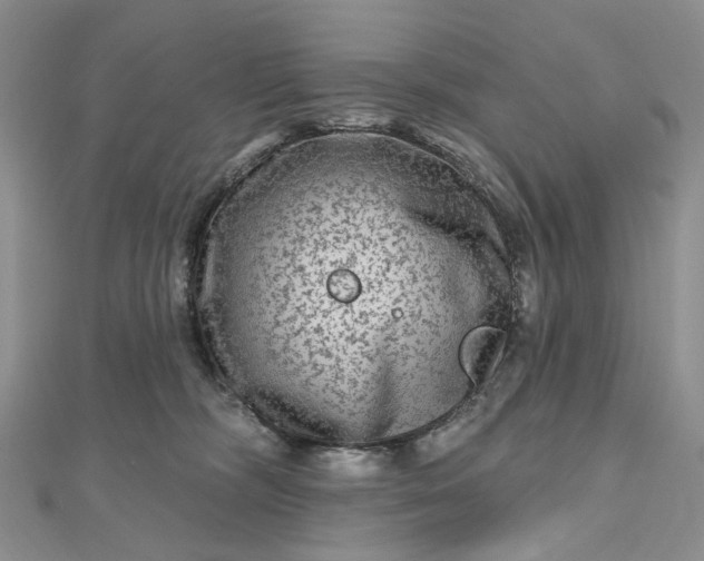 X0000112800326200909041438