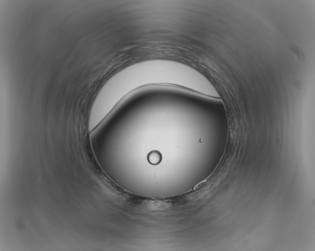 X0000112800327200909041438