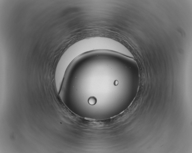 X0000112800328200909041438