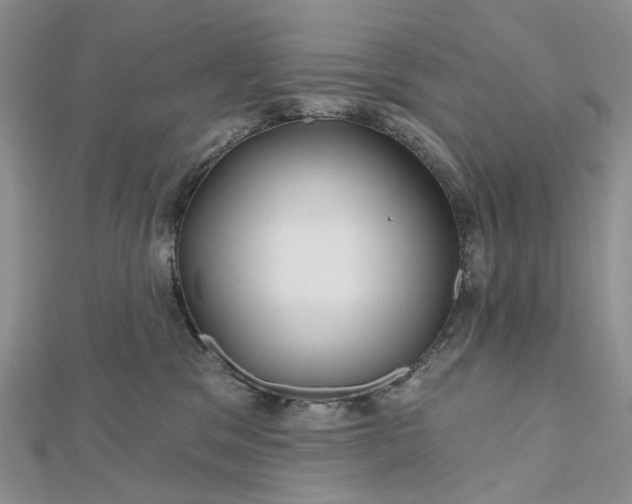 X0000112800329200909041438