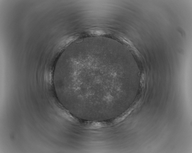 X0000112800330200909041438