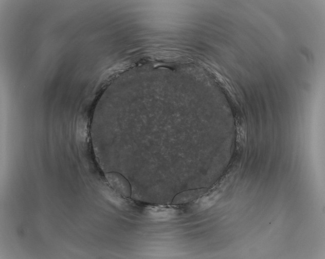 X0000112800331200909041438