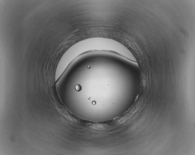 X0000112800332200909041438