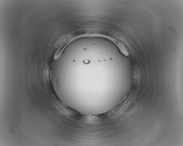 X0000112800333200909041438