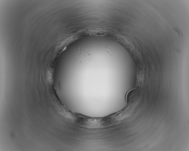 X0000112800335200909041438