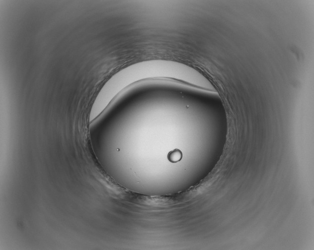 X0000112800336200909041438