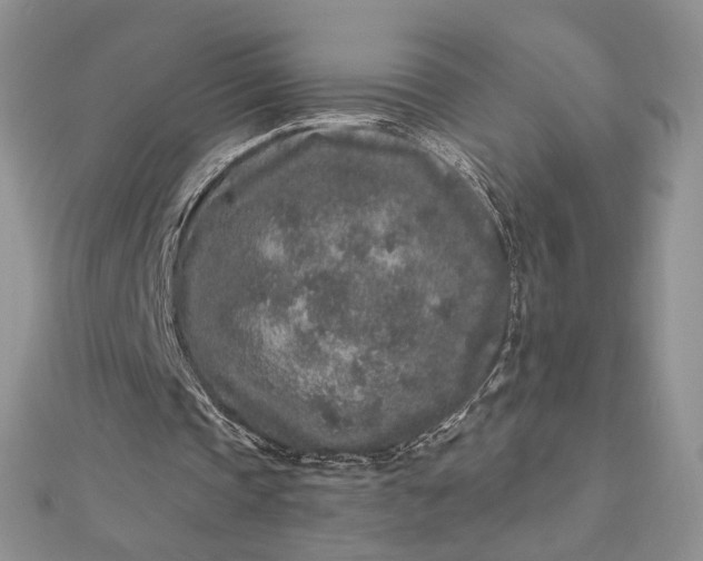 X0000112800337200909041437