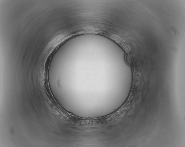 X0000112800338200909041437