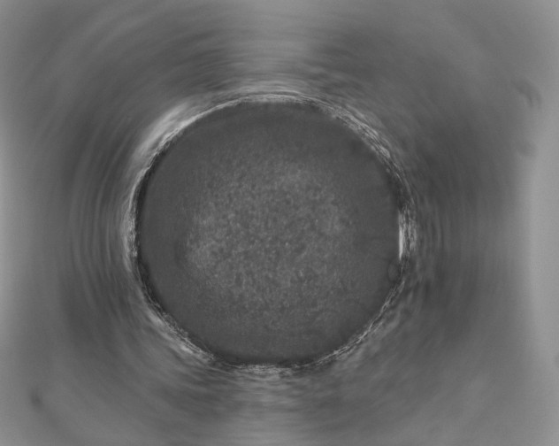 X0000112800339200909041437