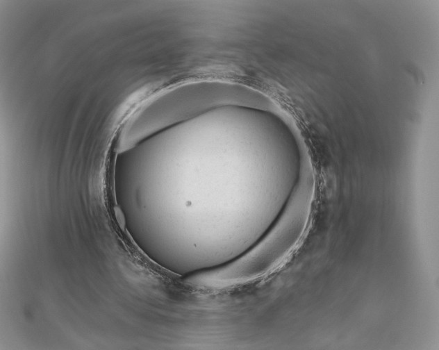 X0000112800340200909041437