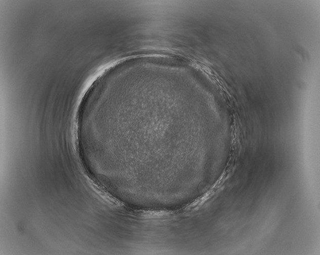 X0000112800342200909041437