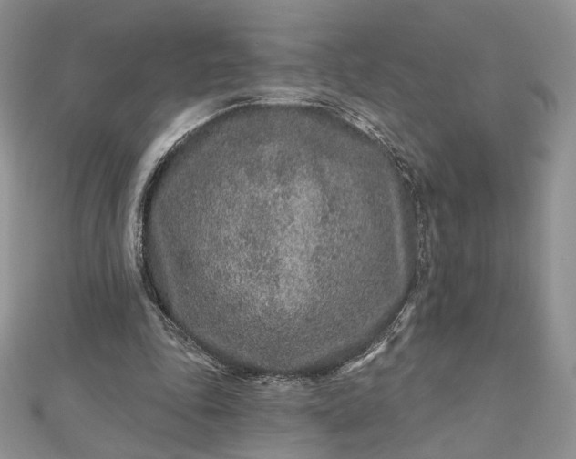 X0000112800343200909041437