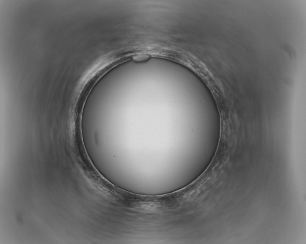 X0000112800344200909041437