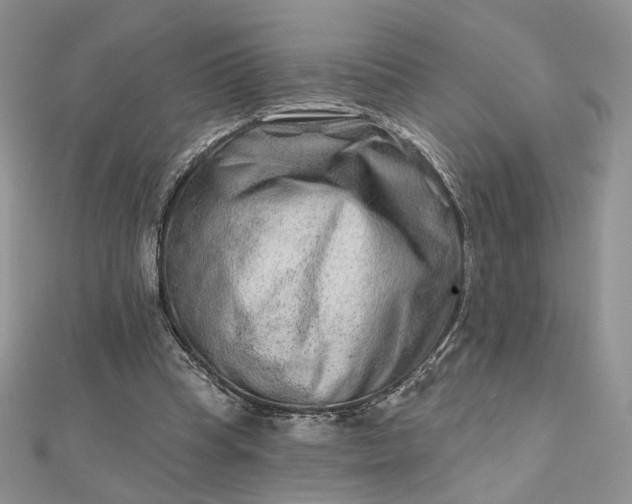 X0000112800345200909041437