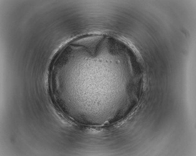 X0000112800346200909041437