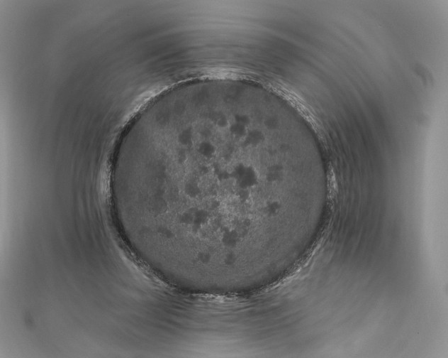 X0000112800347200909041437