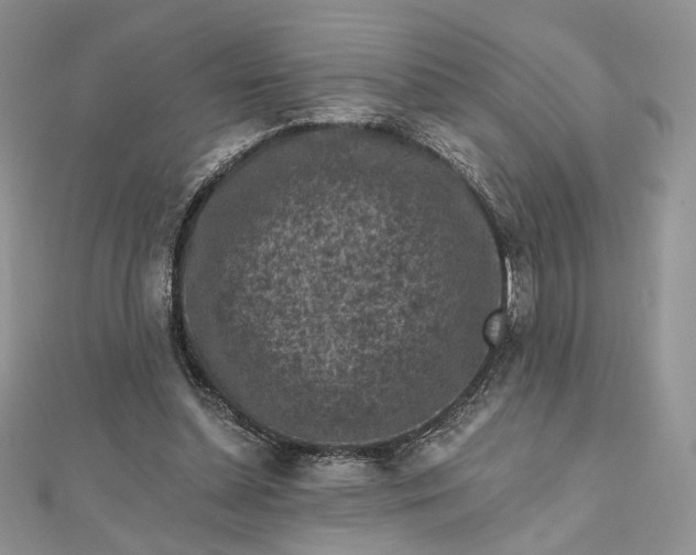 X0000112800348200909041437