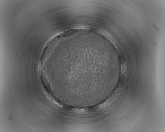 X0000112800349200909041437