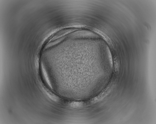 X0000112800350200909041437