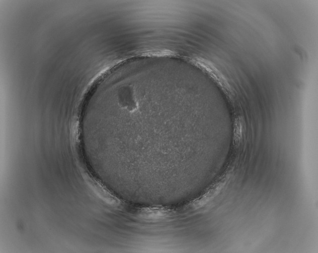 X0000112800351200909041437