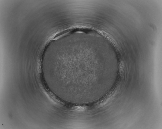 X0000112800352200909041437